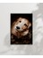 Sevimli Golden Köpek Poster 1