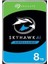 Seagate 3.5 Skyhawk 8tb 5400RPM 256MB Sata3 Güvenlik HDD ST8000VE001 (7/24) 1