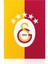 Galatasaray 5 Yıldızlı Dikey Balkon Bayrağı 150X225CM U251385 1