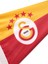 Galatasaray 5 Yıldızlı Üçgen Tekne Bayrağı 30X45CM U251451 2