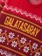 Galatasaray Yeni Yıl Kazak E242249 2