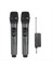 WN043 Kablosuz Mikrofon 2 Kanallar Uhf Sabit Frekans Mikrofon Karaoke Profesyonel Kilise Gösteri Toplantısı (Yurt Dışından) 4