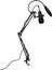Kondenser Mikrofon Mikrofon Kiti Live Studio Sound Record Mount Boom Stand Black Gümüş (Yurt Dışından) 2
