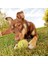 Buffer® 3lü Renkli Desenli Tenis Topu Kedi Köpek Oyuncağı 7