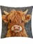 Highland Ineği Yastık Kılıfı, Sevimli Küçük Peluş Yastık Kılıfı, Oturma Odası Mobilya Dekorasyonu Yastık Kılıfı, 2'li Paket (Yurt Dışından) 1