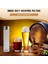 Bira Kuru Hopper Filtresi 300 Mikrometre Paslanmaz Çelik Hop Süzgeç Kartuşu Homebrew Hops Beer &amp Tea Kettle Brew Filtresi (Yurt Dışından) 4