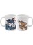 2 Adet Tom&jerry Baskılı Kupa Bardak 1
