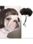 Kafa Çiçeği ile Küçük Orta Büyük Köpek Için Komik Köpek Peruğu Trimabable Evcil Hayvan Kostümü Kedi Cosplay Dekorasyonu (Yurt Dışından) 2
