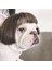Kafa Çiçeği ile Küçük Orta Büyük Köpek Için Komik Köpek Peruğu Trimabable Evcil Hayvan Kostümü Kedi Cosplay Dekorasyonu (Yurt Dışından) 3