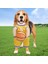 Köpek Basketbol Oyuncu Kostümü Top Köpek Basketbol Kostümü Komik Giyinme Spor Kıyafeti Cadılar Bayramı Cosplay Evcil Hayvanlar B (Yurt Dışından) 4