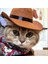Pet Köpek Kovboy Şapkası Cosplay Cap Puppy Pet Cat Dog Tatil Kostümü Pet Partisi Dekorasyon (Yurt Dışından) 4