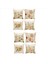 Bahar Yastığı Kapakları 18X18 Set 8 Çiftlik Bahçesi Yastığı Yastığı Bahar Süslemeleri Çiçek Yastık Kılıfı Ev Dekor (Yurt Dışından) 1