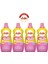 Çamaşır Yumuşatıcı Konsantre 1.2lt Düş Bahçesi 4 Lü Set 1