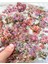 Pink Tenderness Çiçek 6 Yaprak Sticker Set/etiket/çıkartma/bullet Journal 4