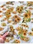 Vintage Ayçiçeği 6 Yaprak Sticker Set/etiket/çıkartma/bullet Journal 3