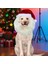 Cat Dog Noel Noel Baba Şapka Komik Sevim Noel Baba Şapkası Kış Günü Gecesi Için Aile Arkadaşları Gençk Gençler Kız Çocuk B Erkek B (Yurt Dışından) 5