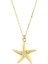 14 Ayar Taşlı Deniz Yıldızı Altın Kolye 2