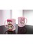 Labubu Kupa Bardak Labubu Renkli Hediye Kupa Bardak Labubu Mug 1
