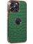 iPhone 13 Pro Max Kılıf Snake Kapak - Koyu Yeşil 1
