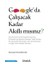 Google'da Çalışacak Kadar Akıllı Mısınız? 1