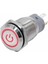16MM Metal Buton Kırmızı Power Sembol LED Işıklı Panel Montaj Düz Kafa Kilitlemeli Dc 6A 12V IP67 1