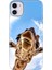 Apple iPhone 11 Kılıf Renkli Temalı iPhone 11 Silikon Öpücük 1