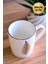 Porselen Natura Fern Kulplu Mug Kupa 9cm 220ML Tekli 4
