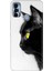 Tecno Spark 7 Pro Kılıf Renkli Silikon Kedi Bakışı 1