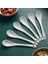 Porselen Baharat Kaşığı 6 Adet (13 cm) 1