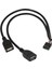 2 Adet 30CM 10 Pin Anakart Dişi Başlığı 2 Port Çift USB 2.0 Erkek Adaptörü Dupont Y Ayırıcı Kablosu (10PIN/02:00) (Yurt Dışından) 2