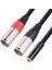 3.5mm Stereo Dişi Jak-Çift-Xlr 3 Pin Erkek Fiş Y Aux Aux Kablosu 3,5 mm Ila 3pin Xlr Y Mikrofon Kablosu (Yurt Dışından) 3