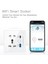 Tuya Smart Soketi Typec+Usb Hızlı Şarj Uzak Time Socket Wifi Akıllı Ingiliz Standart 86 Tip Soket B (Yurt Dışından) 3