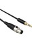 BM800 Pc Kulaklık Karıştırıcı Mikrofon Stereo Kamera Amplifikatörü Için 2pcs 3.5mm Jack Ila 3pin Mini Xlr Kadın 0.5m (Yurt Dışından) 3