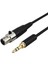 BM800 Pc Kulaklık Karıştırıcı Mikrofon Stereo Kamera Amplifikatörü Için 2pcs 3.5mm Jack Ila 3pin Mini Xlr Kadın 0.5m (Yurt Dışından) 5