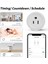 Alexa Google Us Flug Için Güç Izleme ve Zamanlama Fonksiyonu Zigbee Akıllı Ses Kontrolü 16A (Yurt Dışından) 5