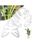 2pcs Monstera Grapple Monstera Yaprak Fabrikası Destek Kaplumbağa Kabuğu Bambu Kelepçe Seti Benzersiz ve Estetik Monstera Bitki Desteği (Yurt Dışından) 2