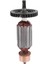AC220V-240V Armatür Rotor Ankraj Bosch Dairesel El Sawbosch GKS190 GKS165 Gks 190 Gks 165 (Yurt Dışından) 4