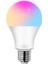 Akıllı Rgb LED Lamba Ampul 9W 50Hz 800 Lümen 1