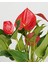 Kırmızı Flamingo Çiçeği – Anthurium Andreanum 17 cm Saksı 3