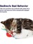 Kitty Chew Wheel Çiğnemeli Kedi Oyuncağı 15 Cm 2
