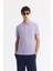 Erkek Lila Kıvrılmaz Polo Yaka %100 Pamuk Basic Regular Fit T-Shirt B001032 1