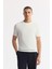 Erkek Ekru Bisiklet Yaka Viskon Karışımlı Triko Regular Fit T-Shirt B005119 1