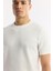 Erkek Ekru Bisiklet Yaka Viskon Karışımlı Triko Regular Fit T-Shirt B005119 2