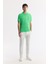 Erkek Yeşil Kıvrılmaz Polo Yaka %100 Pamuk Basic Regular Fit T-Shirt B001032 6