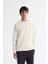 Erkek Ekru Bisiklet Yaka Pamuklu Baskılı Elastan Regular Fit Sweatshirt A42Y1267 1