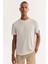 Erkek Ekru Bisiklet Yaka Soft Touch Bi-Stretch Baskılı Regular Fit T-Shirt A52Y1022 8