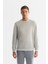Erkek Gri Bisiklet Yaka Pamuklu Baskılı Elastan Regular Fit Sweatshirt A42Y1243 1