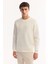 Erkek Ekru Bisiklet Yaka Pamuklu Bi-Stretch Baskılı Regular Fit Sweatshirt A52Y1289 5