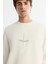 Erkek Ekru Bisiklet Yaka Pamuklu Baskılı Elastan Regular Fit Sweatshirt A42Y1313 2