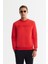 Erkek Kırmızı Bisiklet Yaka 3 İplik Şardonlu Baskılı Regular Fit Sweatshirt A42Y1306 1